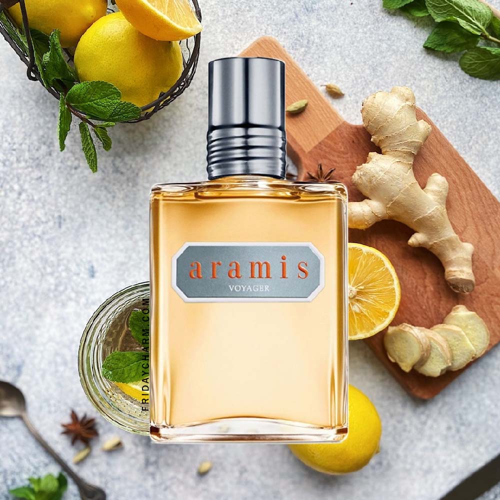 Aramis Voyager Eau De Toilette For Men