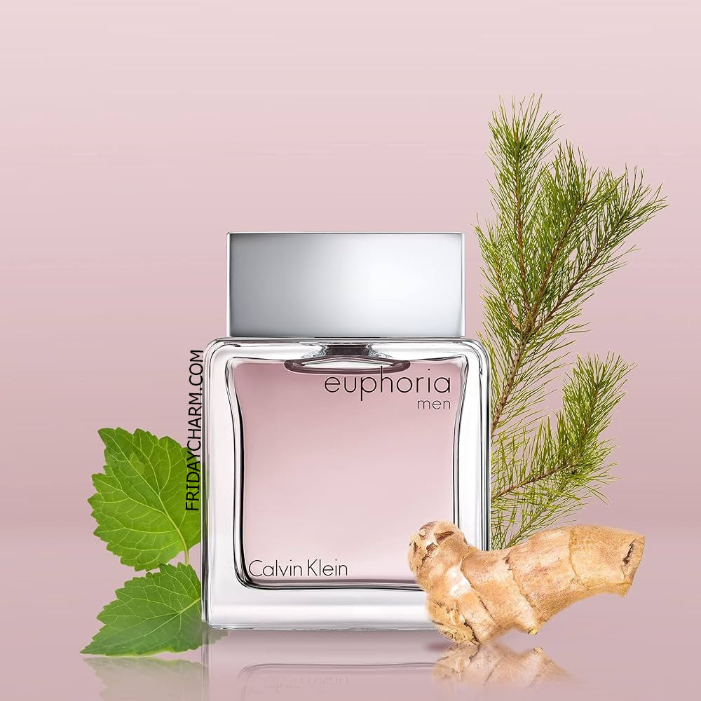 Calvin Klein Euphoria Eau De Toilette For Men